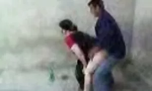 Узбек гүйцсэн шулуун ...