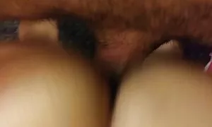 Филиппин зөндөө нохо ...