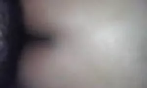Бүрэн том тахиа нь г ...
