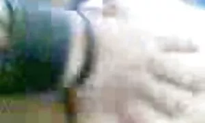 Малай арга хэмжээ 5  ...